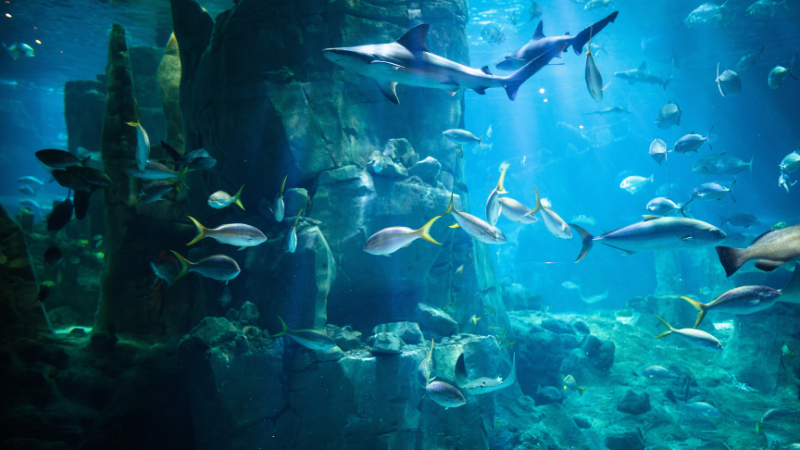 Indoor Fun Around Chattanooga, TN | Crye-Leike Real Estate Services